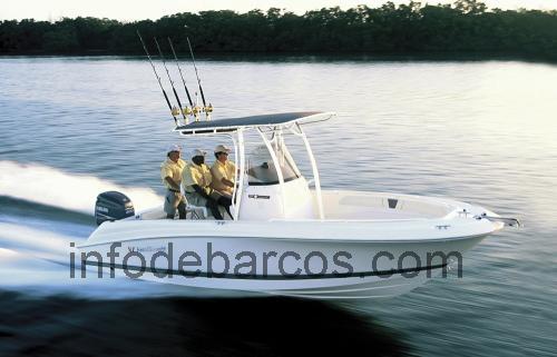 Wellcraft 232 Fisherman ficha tecnica 